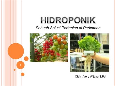 Hidroponik Solusi Pertanian Di Perkotaan PPT