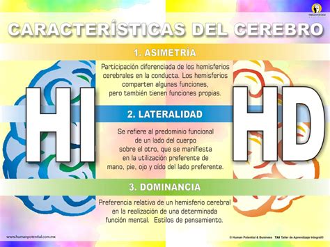 Características Fundamentales Del Hemisferio Izquierdo Y Del Hemisferio