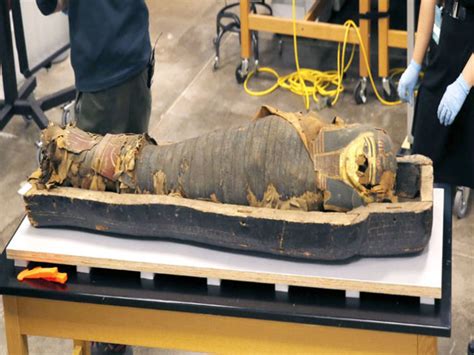 Cemetery With Million Mummies Unearthed In Egypt The Economic Times