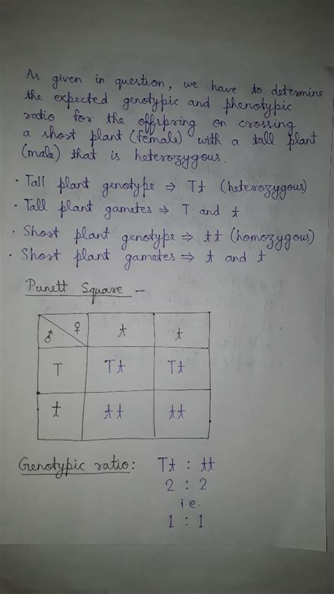 Lab 10 Mendelian Genetics Post Lab BIO 101 Docx Lab 10 Mendelian