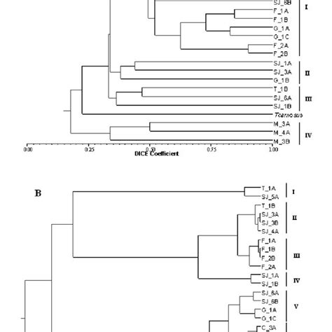 Dendrograms Obtained By Hierarchical Cluster Analysis From Issrs A