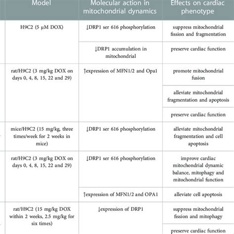 An Overview Of Current Pharmacological And Non Pharmacological