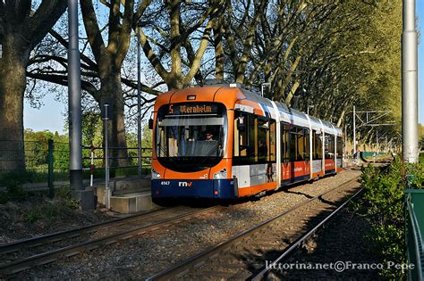 RNV tram 4147 Holbeinstraße Mannheim D 20 aprile 2022