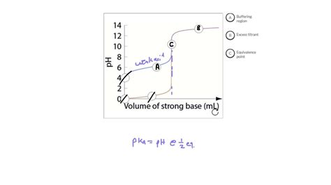 Solved Match The Provided Labels To The Appropriate Point On The Titration Curve Buffering