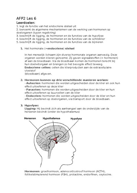 AFP2 Les 6 Endocriene Stelsel De Basis AFP2 Les 6 Leerdoelen Legt