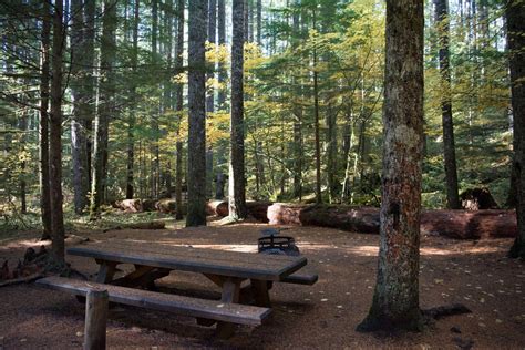 Lower Falls Campground, Gifford Pinchot National Forest - Recreation.gov