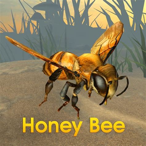 Honey Bee Simulator - Boris Tsarkov • Game Solver