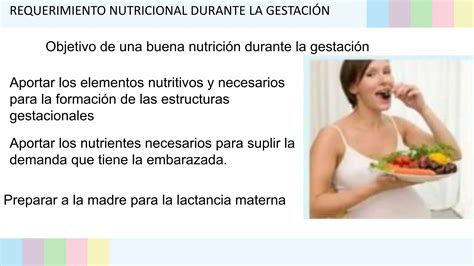 Requerimiento Nutricional Seminario Pptx