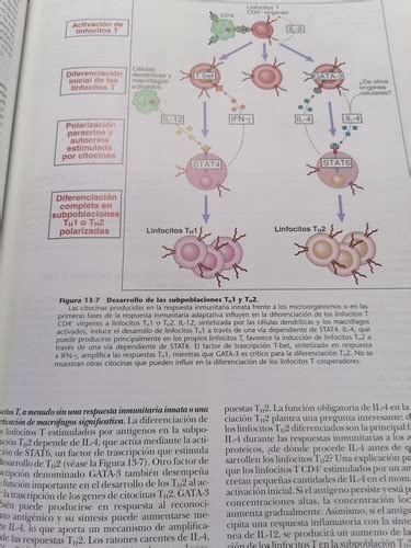 Inmunología Celular Y Molecular 5 Ed Abbas Envío gratis