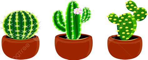 Cactus Set Cartoon So Cute Cactus Cartoon Lovely Png And Vector With