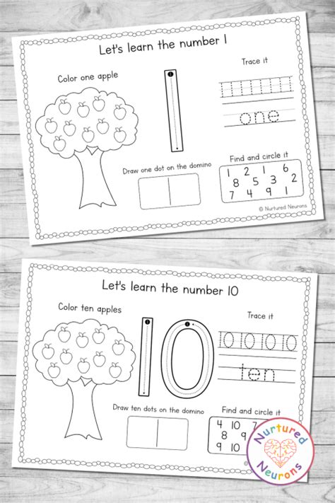 Apple Count To Worksheets Fall Themed Number Sense Nurtured Neurons