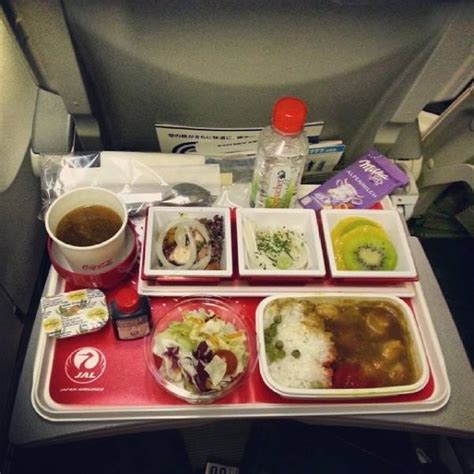 Economy Class Food Vs Business Class Food (38 pics)