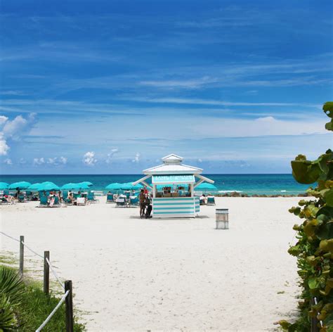 Miami Beach Resort | Pool & Beach | The Palms Hotel and Spa