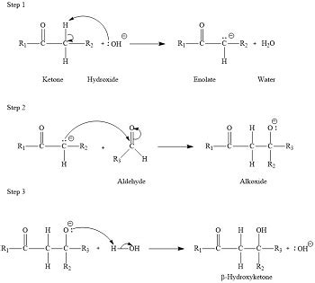 Condensation Reaction Mechanism