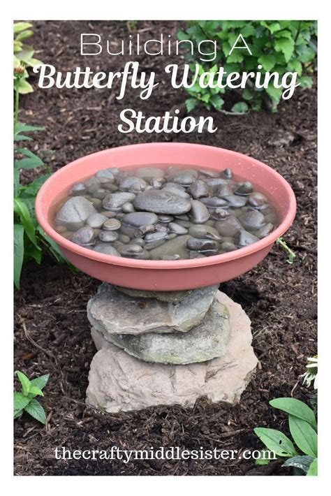 Find Out How To Build A Butterfly Watering Station So They Can Access