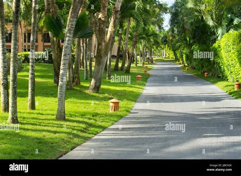 Garden Stone Path With Grass Stock Photo Alamy