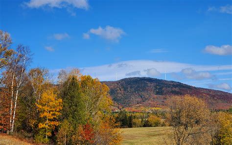 5 Things You Can Only Find In Aroostook County The County