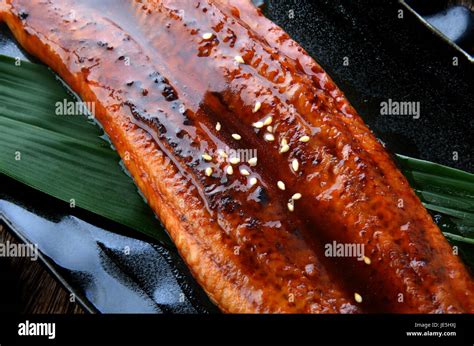 Japanese Eel Grilled Or Unagi Ibaraki Set On Plate In Japanese Style