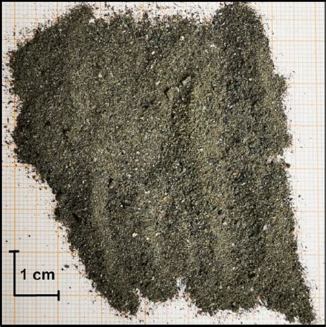 Picture of the native biomass bottom ash | Download Scientific Diagram