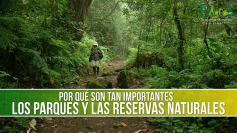 Importancia De Los Parques Y Reservas Naturales TvAgro Por Juan