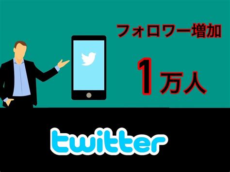 Twitterフォロワー増加1万人増加します 気取りたい方！副業の目的の方！！必見サービス！！！ Snsマーケティング ココナラ