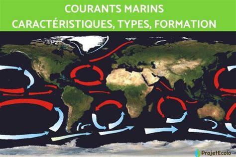 Courants Marins Carte D Finition Nom Et Formation