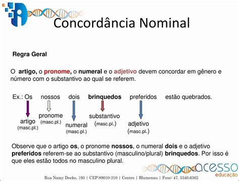 Mapas Mentais Sobre CONCORDANCIA NOMINAL Study Maps