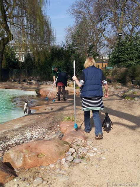 Zookeeper for a Day: London Zoo. - Adventures of a London Kiwi