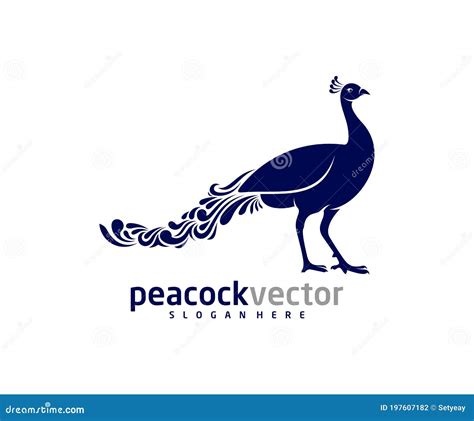 Peacock Logo Design Vector Template Peacock Bird Illustration Stock