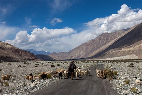 Riding Solo In The Himalayas Slide Nature Infocus