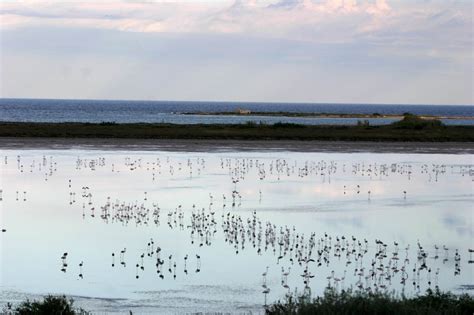 Culture And History Tour In Noto Tour Of The Vendicari Nature Reserve