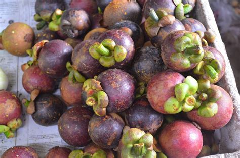 Mahogany Market At Tagaytay