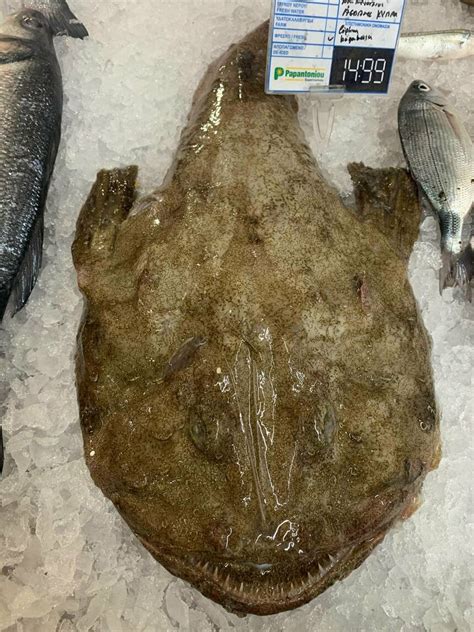Морской черт на полках кипрских супермаркетов - Блоги Кипра