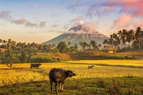 Mayon Volcano | Tips for climbing Mayon | Rough Guides