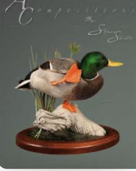 Pin By Danon On Taxidermy Reference Waterfowl Taxidermy Taxidermy