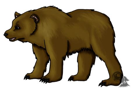 Brown Bear. by Little-Power on DeviantArt