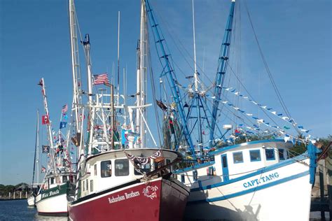 Shem Creek Boat Tours - High Tide Harbor Tours