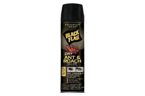 Best roach killer Powerful Sprays Baits Effective Treatments 2021