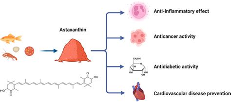 Frontiers Research Progress Of Astaxanthin Nano Based Drug Delivery