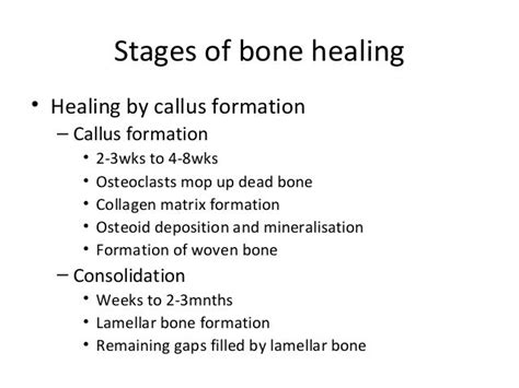 Bone healing