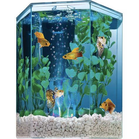 Tetra 1 Gallon Hexagon Led Aquarium Kit With Air Filter And Bubbler