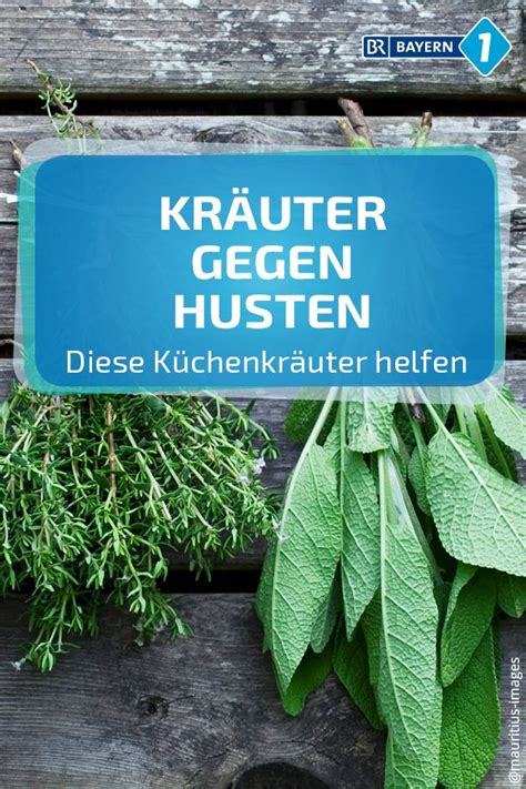 Kräuter gegen Husten Diese Küchenkräuter helfen bei Husten BR de