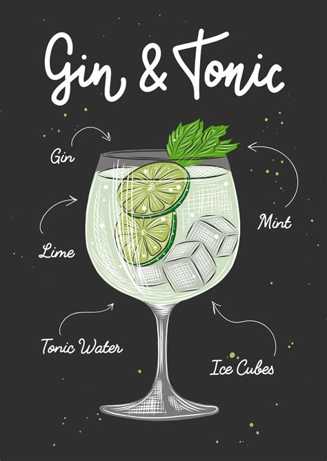 Gin Tonic Cocktailillustration Im Vektorgravierten Stil F R Poster