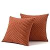 Amazon Woaboy Rust Throw Pillow Covers 20x20 Inch Set Of 2