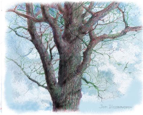 Tree Colour Pencil Drawing A Comprehensive Guide For Beginners