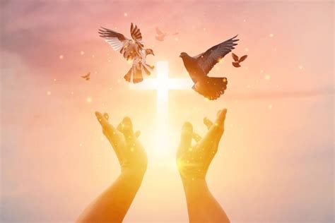 Cross Hands Doves Images Stock Photos D Objects Vectors