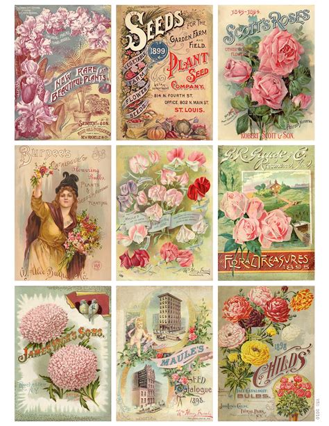 Vintage Seed Packet Printables Printable Word Searches 10800 Hot Sex Picture