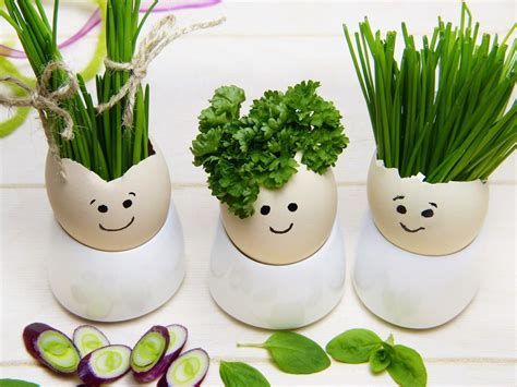 Using Eggshells In The Garden Sweet Life And Lemons