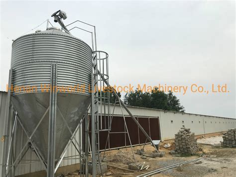 Chicken House H Type Cage With Automatic Manure Removal System