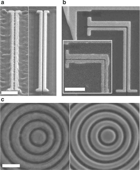 SEM Images Of Single And Multi Crystalline Gold Nanostructures A